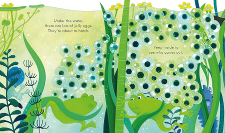 Carte cu ilustratii. Usborne peep inside. The Pond [3]