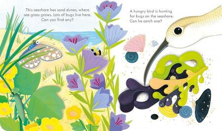 Carte cu ilustratii. Usborne peep inside. The Seashore [3]