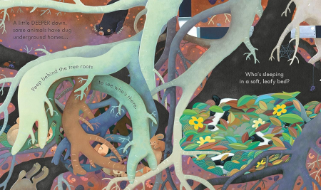 Carte cu ilustratii. Usborne peep inside. Under the Ground [3]