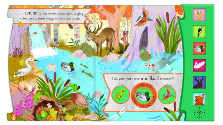 Carte cu sunete. The Noisy Wood. Lets Explore [3]