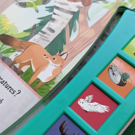 Carte cu sunete. The Noisy Wood. Lets Explore [1]