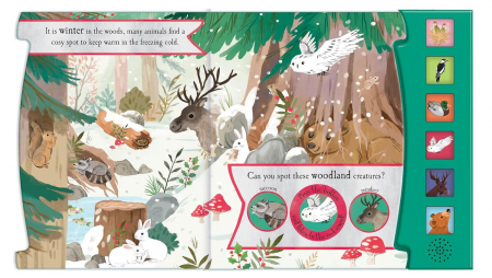 Carte cu sunete. The Noisy Wood. Lets Explore [2]