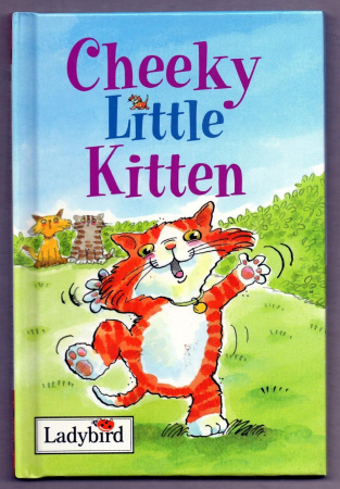 Carti cu ilustratii - Carte ilustrata. Cheeky Little Kitten. Coperta tare