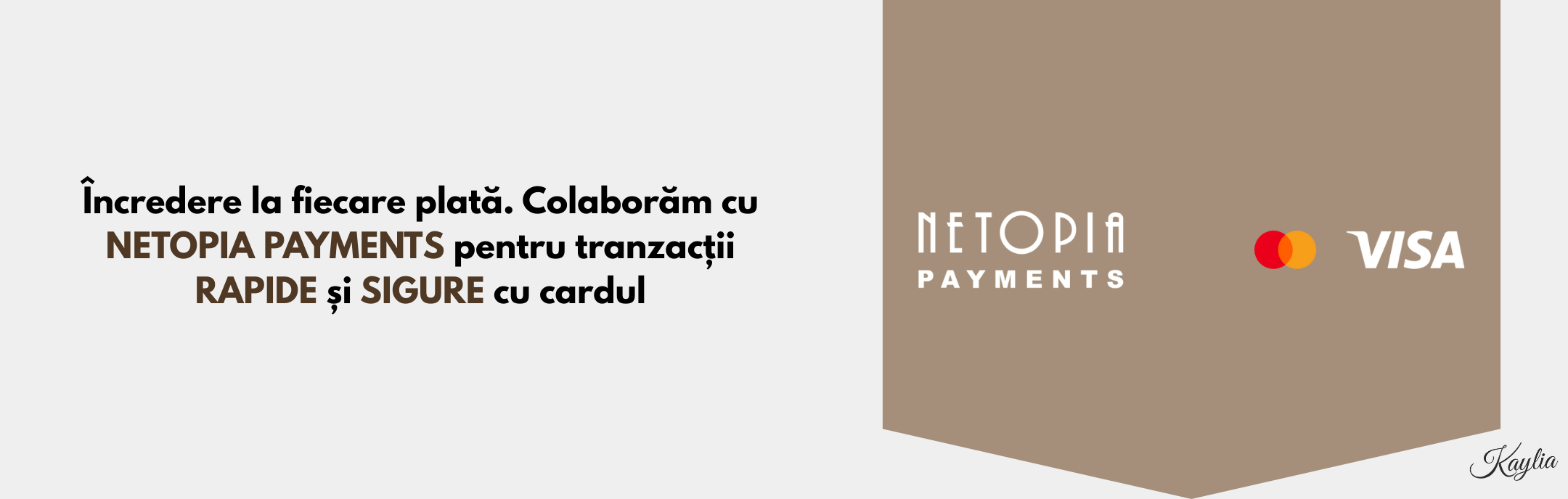 Payment Banner Desktop