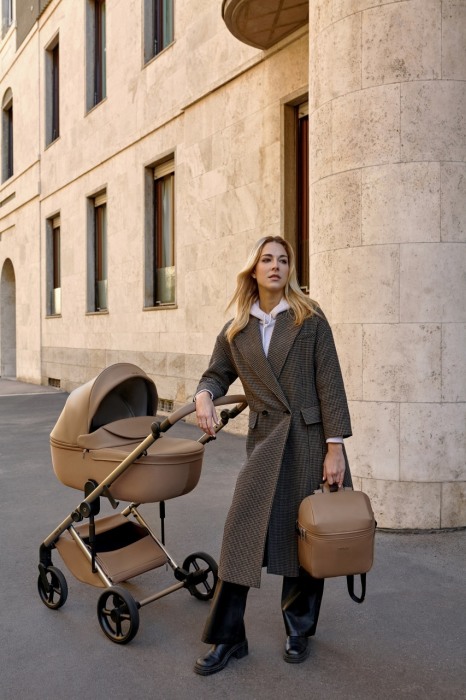 Cărucior multifuncțional Anex ELI - SECRET [1]