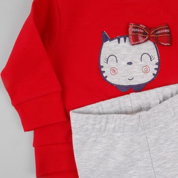 Compleu fete bumbac vatuit, bluza rosie cu colant gri, Babybol [3]