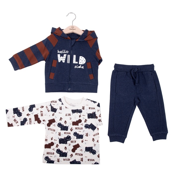 Trening 3 piese bebe baiat, bumbac, hanorac cu gluga, brand Babybol [5]