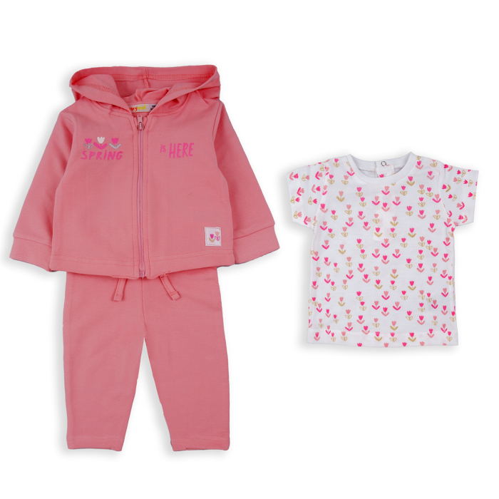 Trening fete primavara, hanorac cu gluga+tricou+pantaloni, roz, brand Babybol [2]