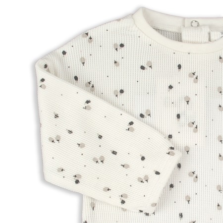 Bluza bebe fetita, bumbac oeko-tex, ivoire, brand Babybol [1]