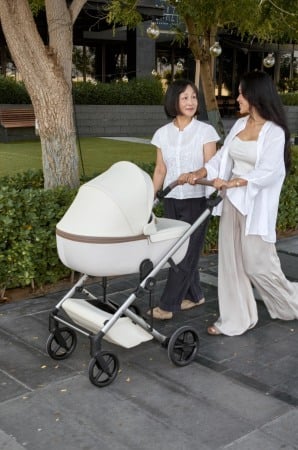 Carucioare Anex - Cărucior multifuncțional Anex ELI-MUSE