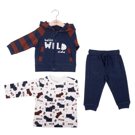 Trening 3 piese bebe baiat, bumbac, hanorac cu gluga, brand Babybol [4]