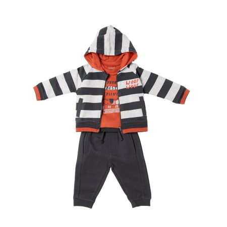 Trening / Pantaloni sport - Trening baiat, 3 piese , hanorac cu gluga,Babybol