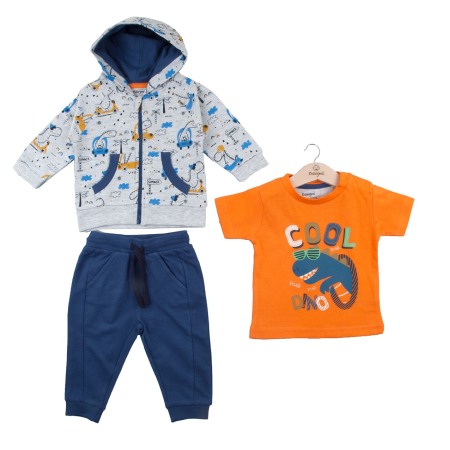 Trening 2/3 piese primavara - Trening bumbac copii, 3 piese, hanorac cu gluga, imprimeu DINO, gri, brand Babybol