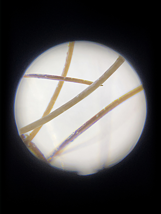 Microscop portabil cu LED si UV, cu adaptor de smartphone, marire 100-250x, MicroFlip [7]