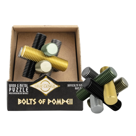 Jocuri IQ - Joc logic IQ din metal cu 6 suruburi - Bolts of Pompeii