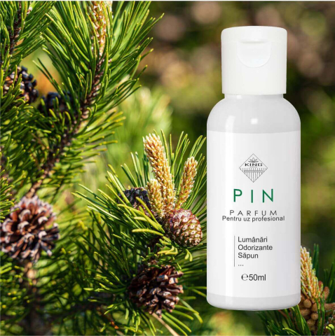 parfum-lumanari-pin-forest-concentrat-50ml [1]
