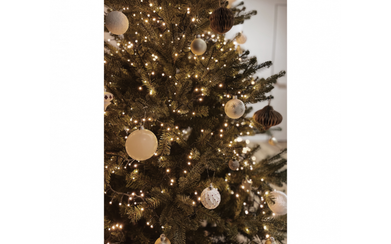 Brăduți de Crăciun: 5 motive pentru a-i achiziționa