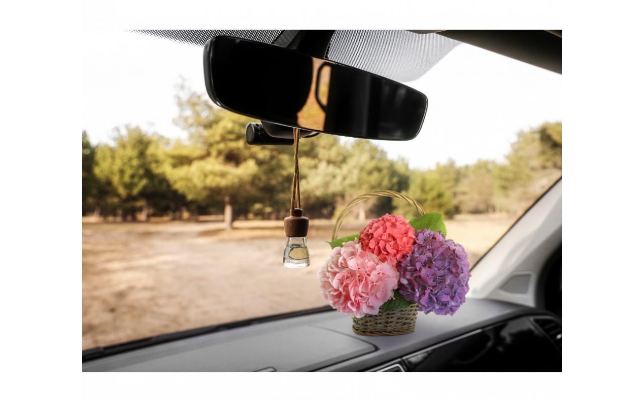 Odorizante auto cu pulverizator: 10 arome de interes