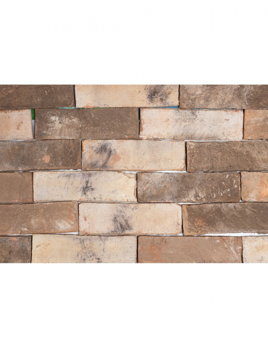 Caramida aparenta placaj klinker mix natural ±215X65X14, rezistenta, autentica, ideala pentru fatade si pereti interiori. [1]
