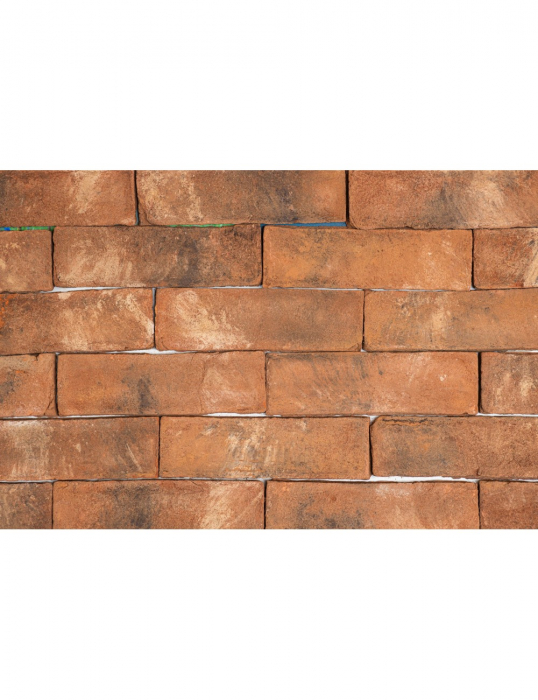 Caramida aparenta placaj klinker Palmira mix ±215X65X14, rezistenta, autentica, ideala pentru fatade si pereti interiori. [1]