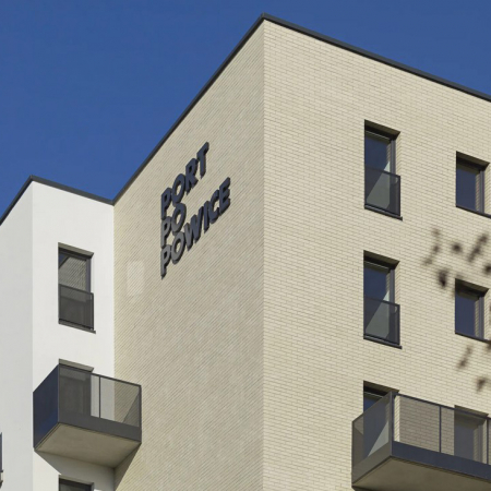 Caramida King Klinker Luna Pacific Pearl 240X71X10 - Eleganta si Rezistenta Impecabila [1]