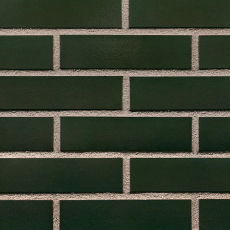 Klinker modern - Caramida King Klinker Verde Inchis Green Hills 250X65X10 - Naturala si Rezistenta