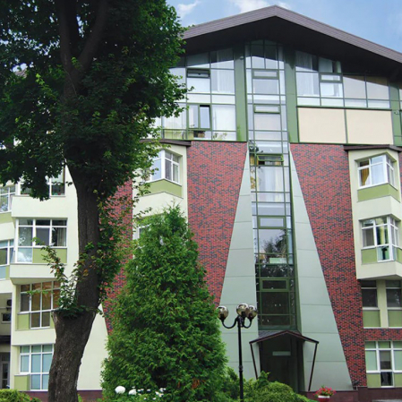 Caramida aparenta klinker King Klinker Toscana Wild Wine 250x65x10 mm – Fatade si pereti interiori rezistenti [1]