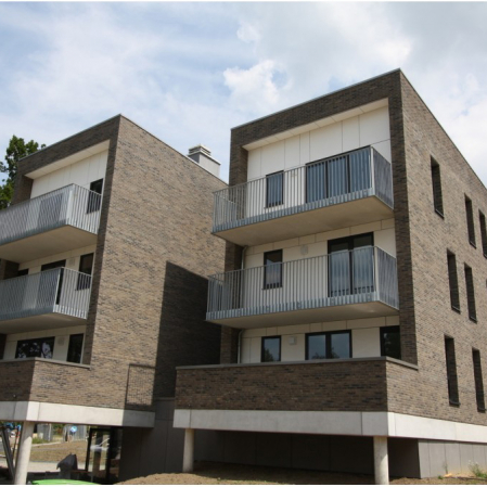 Caramida aparenta placaj Vandersanden Brama 214X65X20 klinker handmade premium fatade pereti adezivi Ceresit chiturile Quick Mix [1]