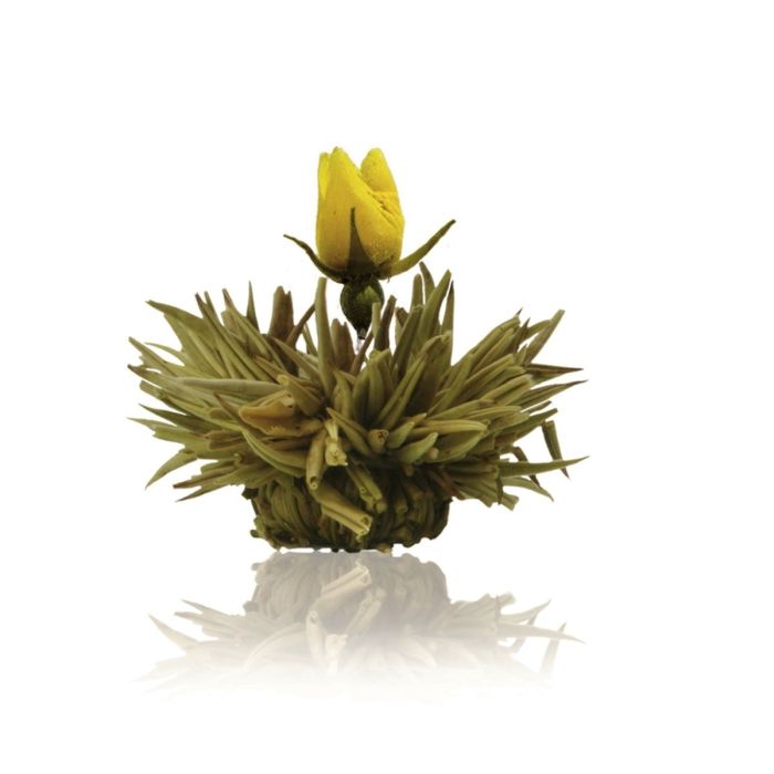 Flori de ceai / Blooming Tea [3]