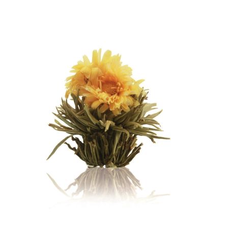 Flori de ceai / Blooming Tea [5]