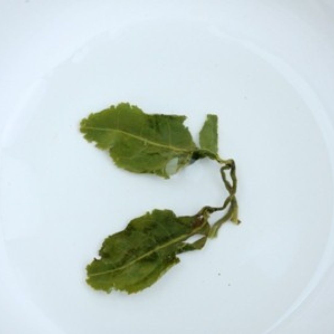 Ceaiul Oolong