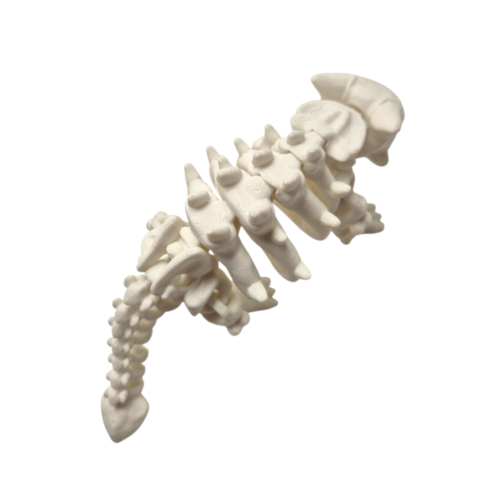 Ankylosaurus Skeleton Articulat 3D [3]