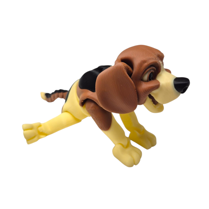 Beagle articulat [2]