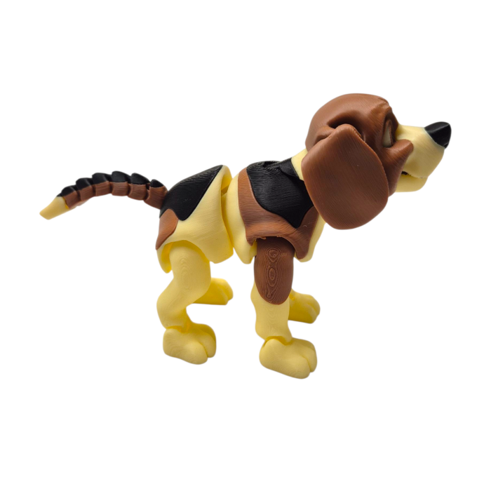 Beagle articulat [3]