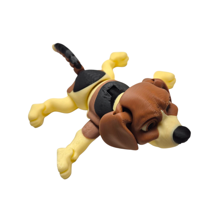 Beagle articulat [5]