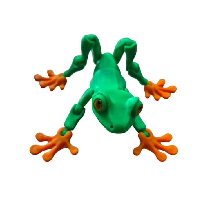 Broscuță Articulată 3D [2]