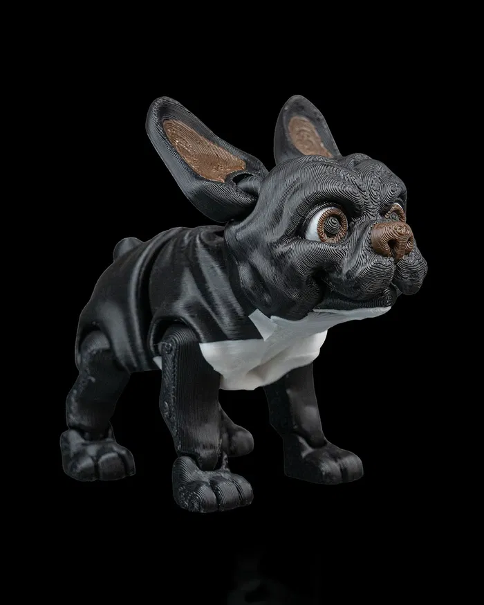 French Bulldog Articulat 3D [2]