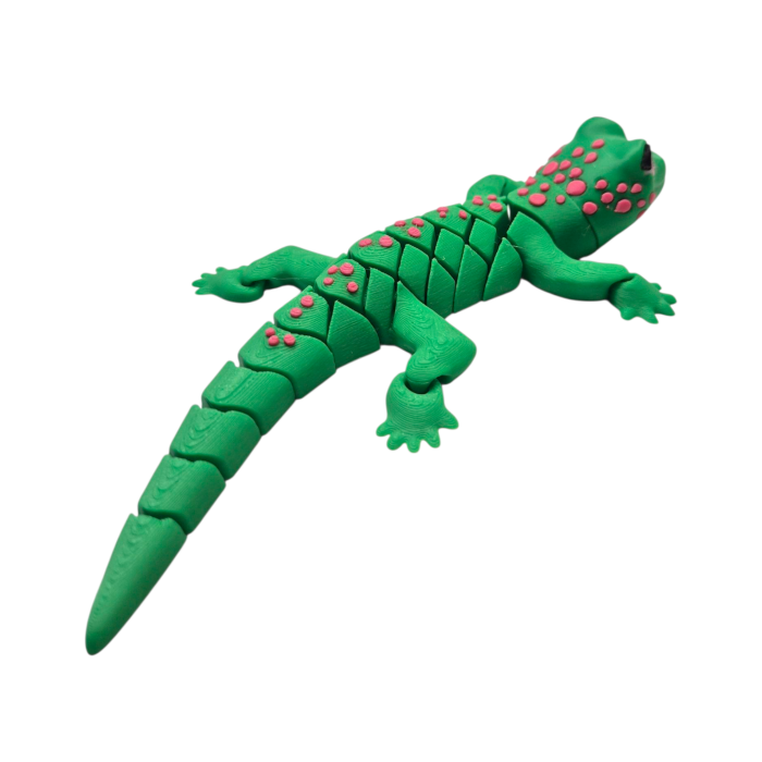 Soparla Gecko articulata [4]