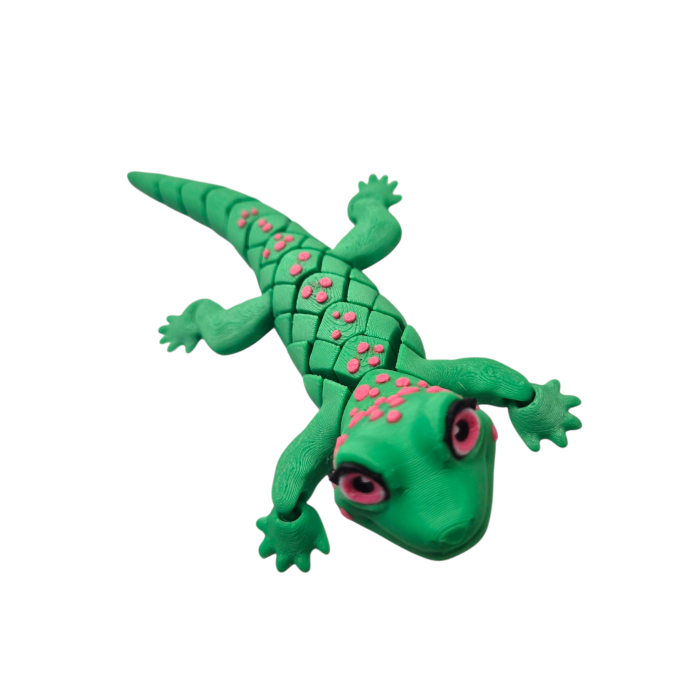 Soparla Gecko articulata [5]