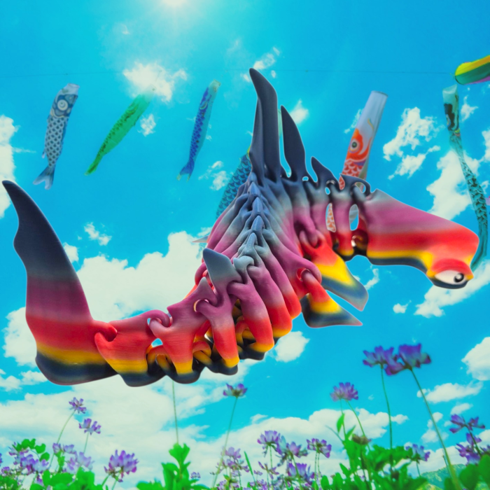 Rechin Ciocan Schelet Articulat [3]