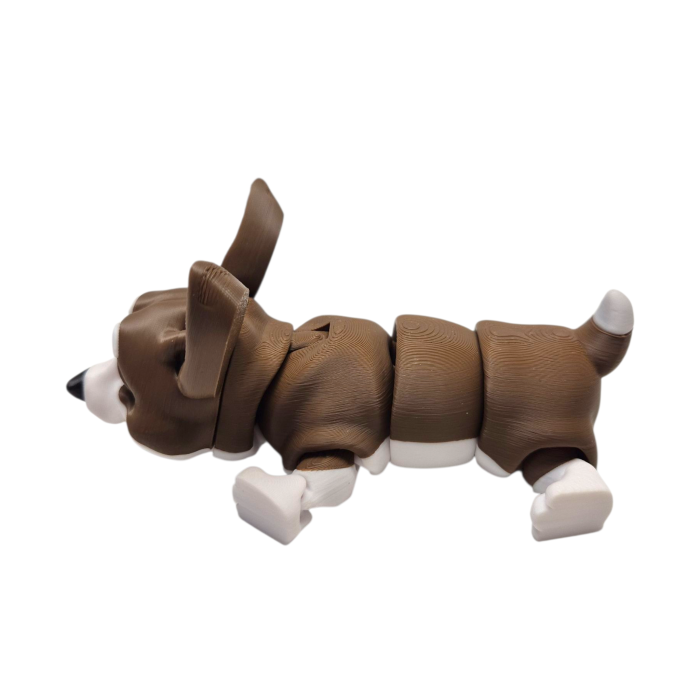 Welsh Corgi Articulat [4]
