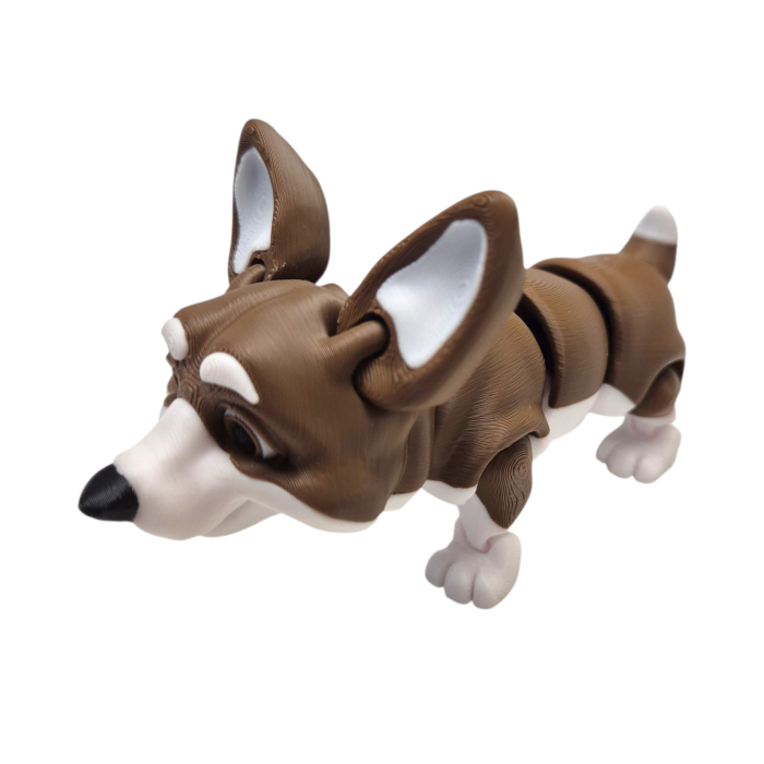 Welsh Corgi Articulat [1]