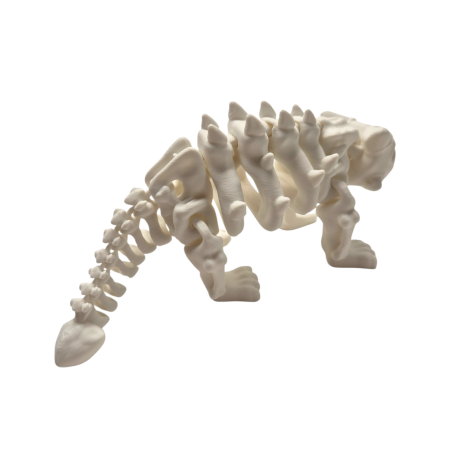 Ankylosaurus Skeleton Articulat 3D [4]