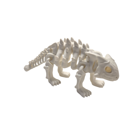 ANIMALE FLEXIBILE - Ankylosaurus Skeleton Articulat 3D