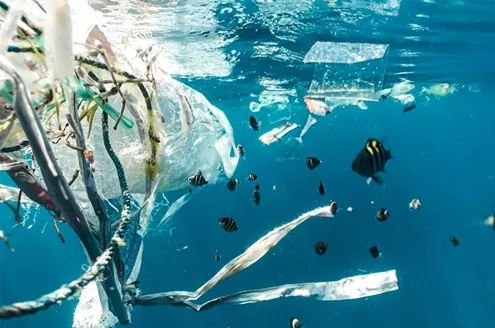 Microplasticele și sănătatea: din punct de vedere științific