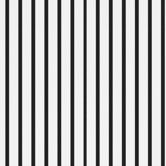 riflaj-decorativ-acustic [4]