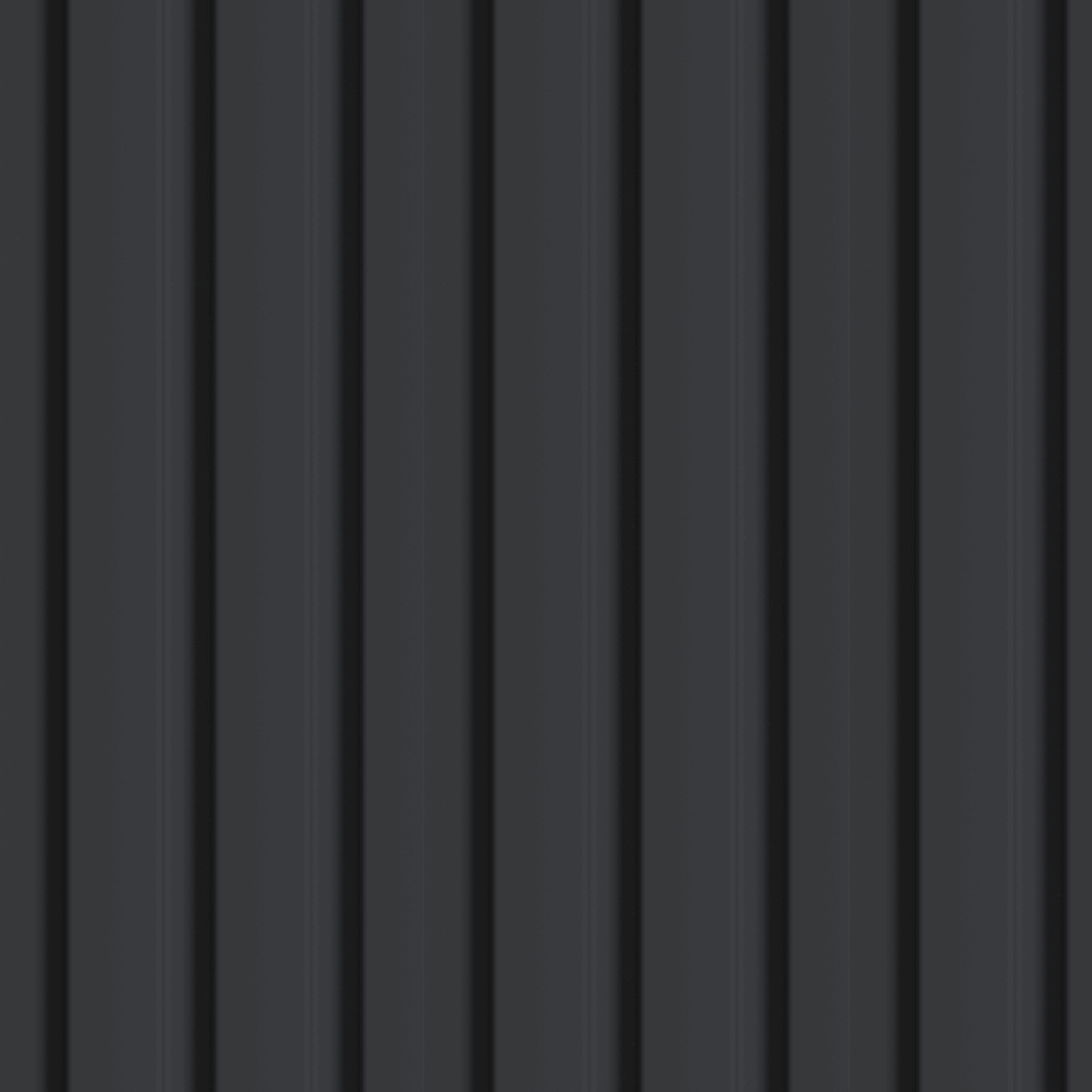 riflaj-decorativ-negru [2]