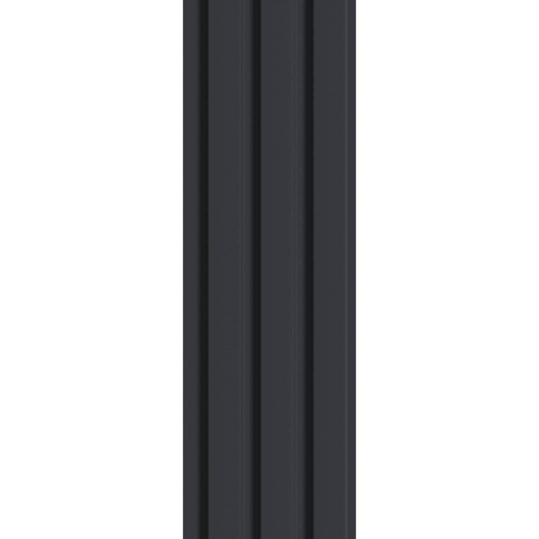 riflaj-decorativ-negru [3]