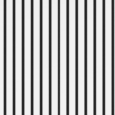 riflaj-decorativ-acustic [3]