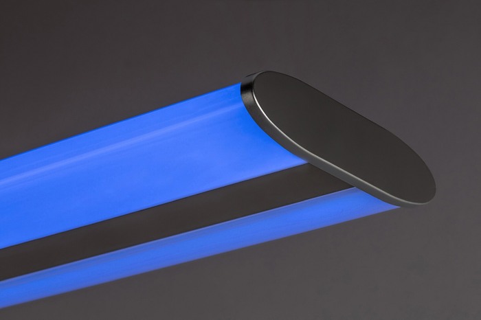 CANDELABRU TEMPERIUS [6]